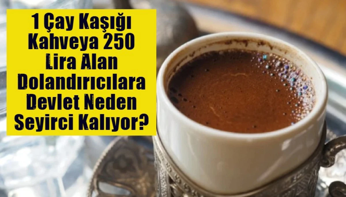 1 &Ccedil;ay Kaşığı Kahveya 250 Lira Alan Dolandırıcılara Devlet Neden Seyirci Kalıyor?