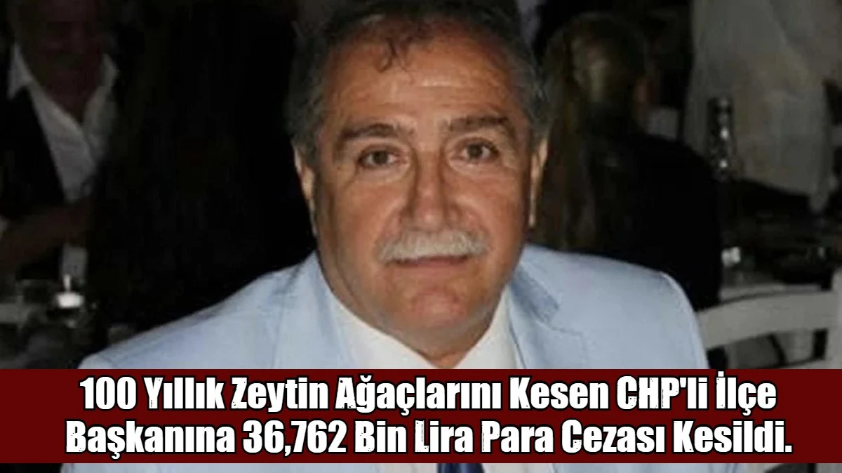 100 Yıllık Zeytin Ağa&ccedil;larını Kesen CHP'li İl&ccedil;e Başkanına 36,762 Bin Lira Para Cezası Kesildi.