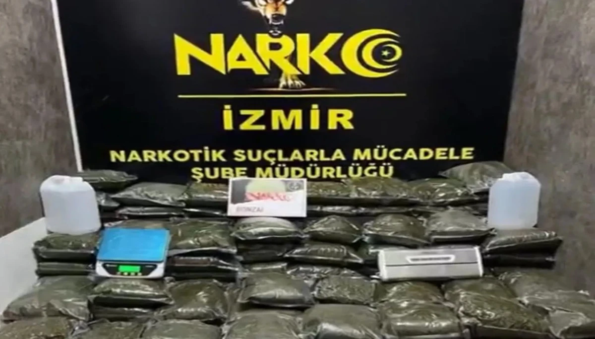 126 kilo bonzai ele geçirildi