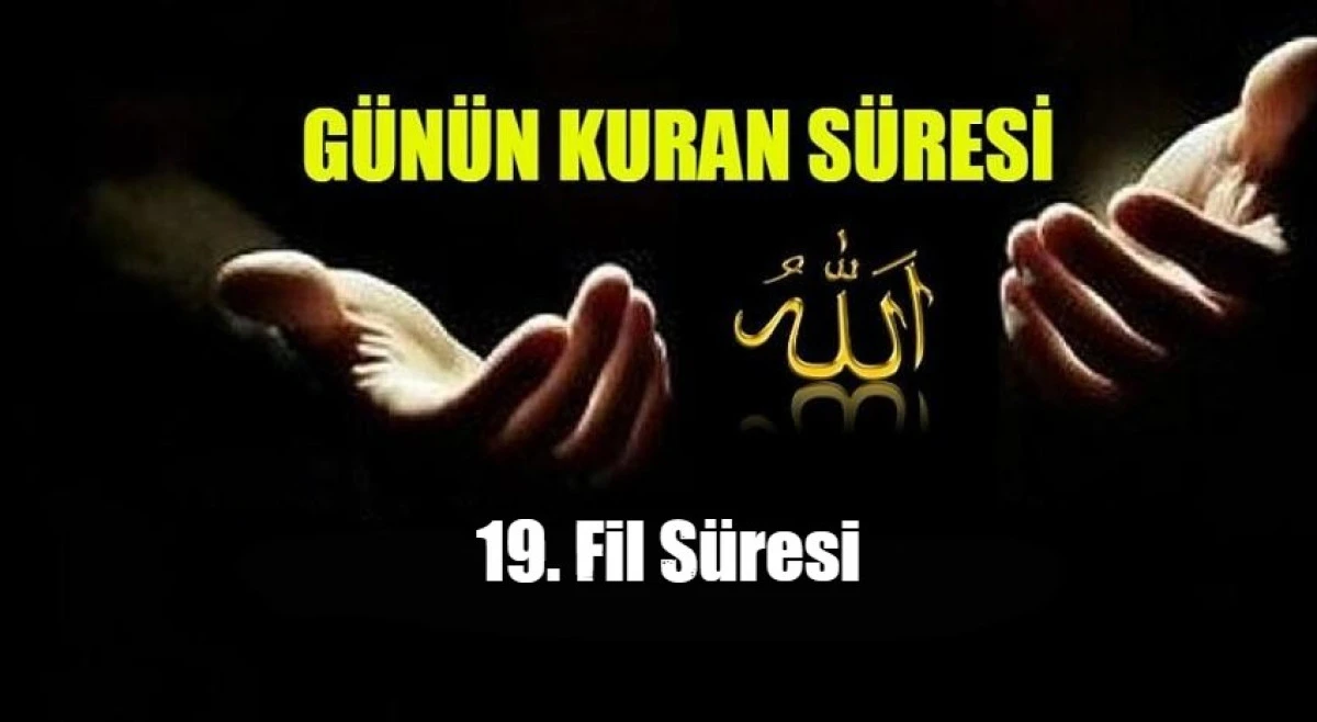 19. Fil Süresi