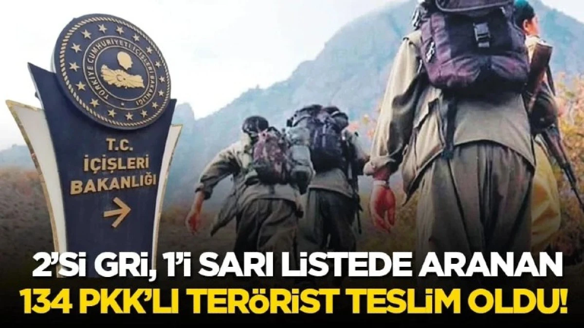 2&rsquo;si Gri, 1&rsquo;i Sarı listede aranan 134 PKK'lı ter&ouml;rist teslim oldu