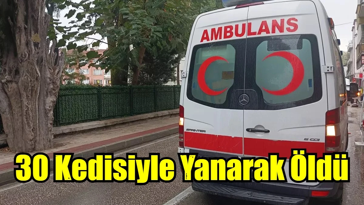 30 Kedisiyle Yanarak Öldü