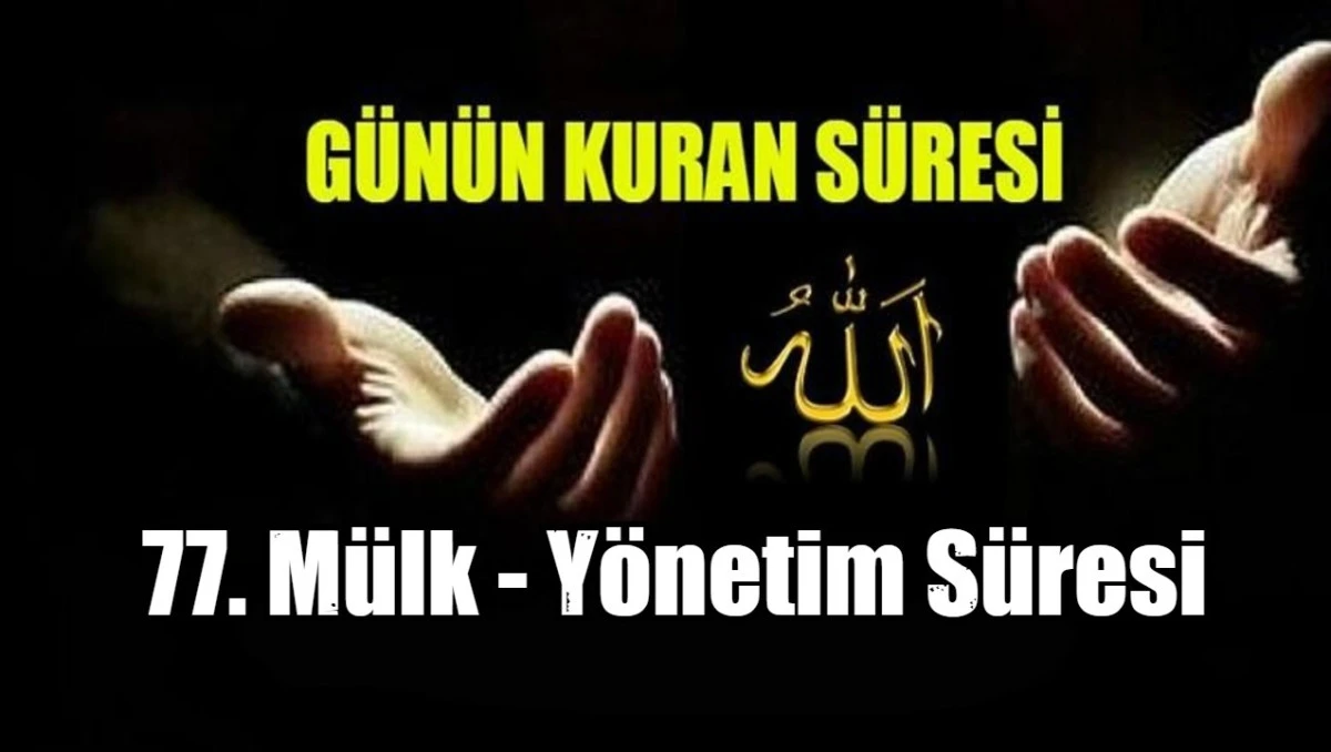 77. M&uuml;lk - Y&ouml;netim S&uuml;resi