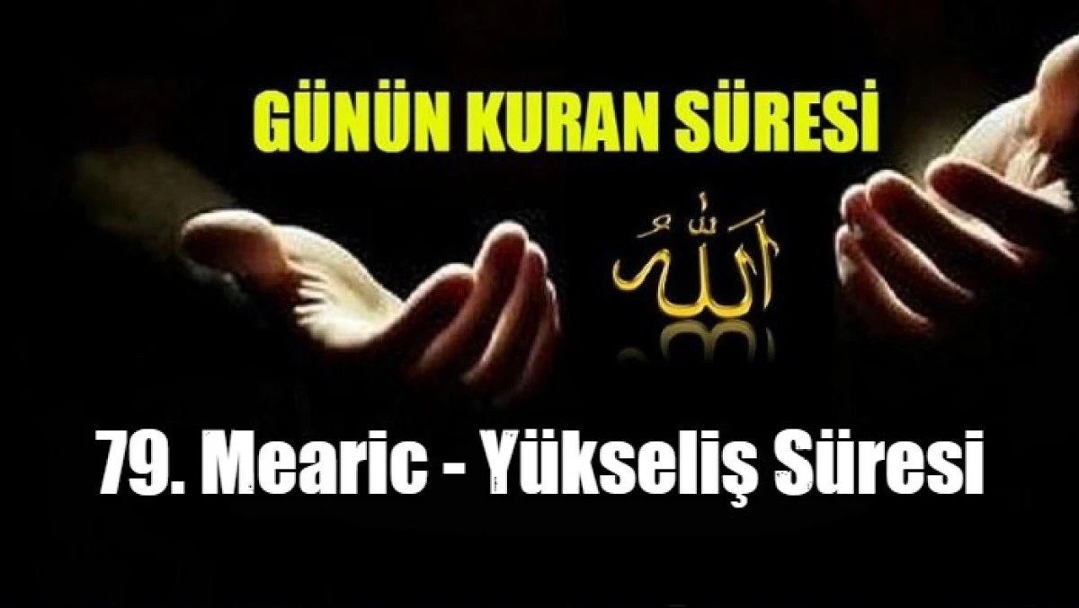 79. Mearic - Y&uuml;kseliş S&uuml;resi