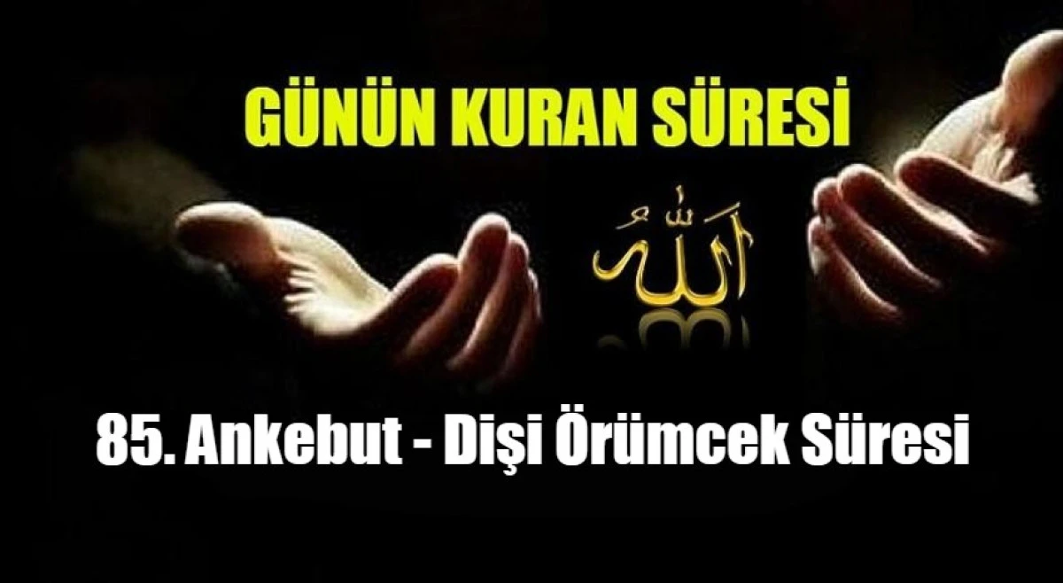 85. Ankebut - Dişi &Ouml;r&uuml;mcek S&uuml;resi