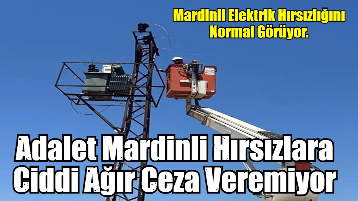 Adalet Mardinli Hırsızlara Ciddi Ağır Ceza Veremiyor