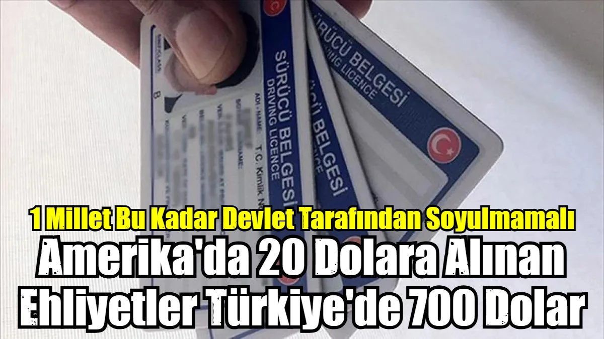 Amerika'da 20 Dolara Alınan Ehliyetler Türkiye'de 700 Dolar