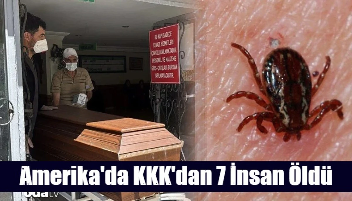 Amerika'da KKK'dan 7 İnsan &Ouml;ld&uuml;