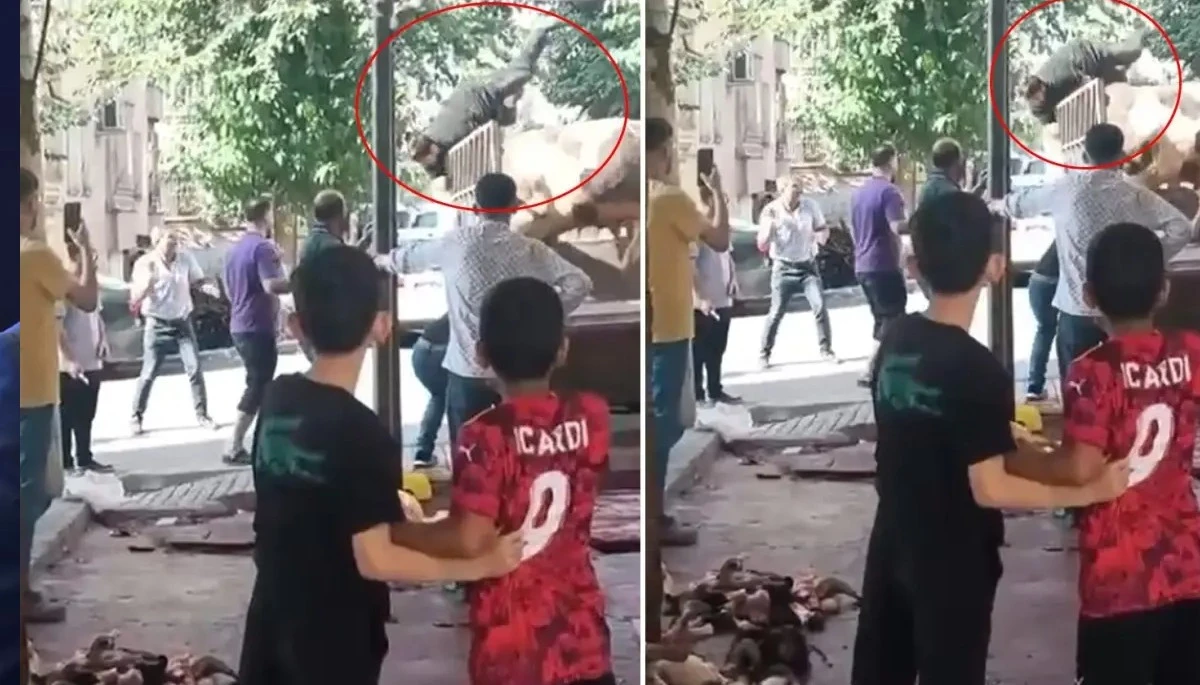 Azgın Boğa Kasaba Hayatının Kabusunu Yaşattı