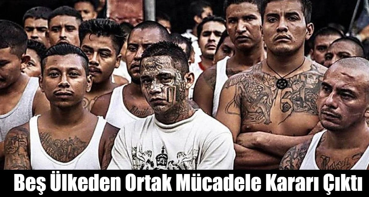 Beş &Uuml;lkeden Ortak M&uuml;cadele Kararı &Ccedil;ıktı