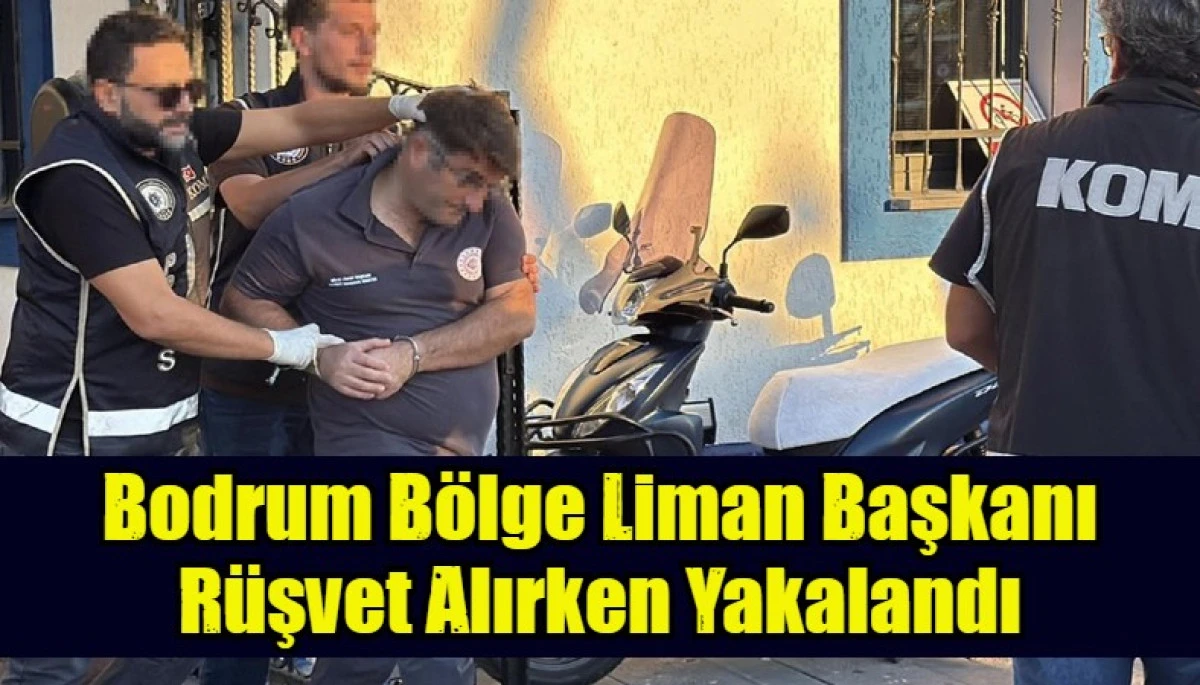 Bodrum B&ouml;lge Liman Başkanı
