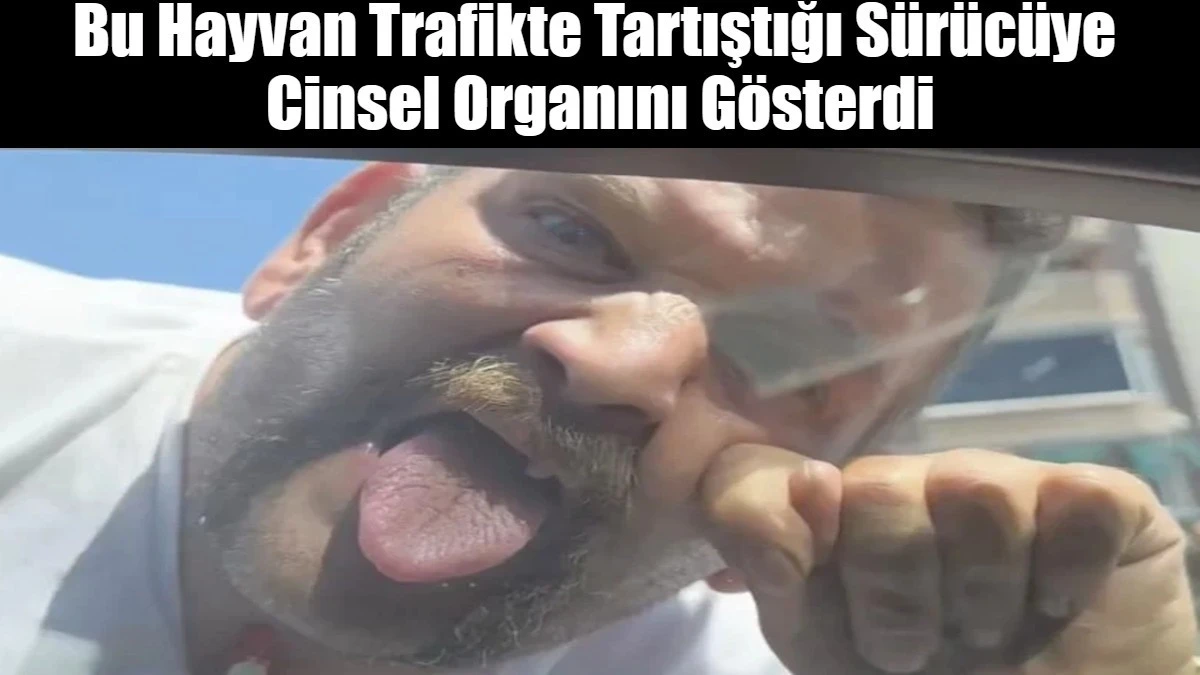 Bu Hayvan Trafikte Tartıştığı S&uuml;r&uuml;c&uuml;ye  Cinsel Organını G&ouml;sterdi