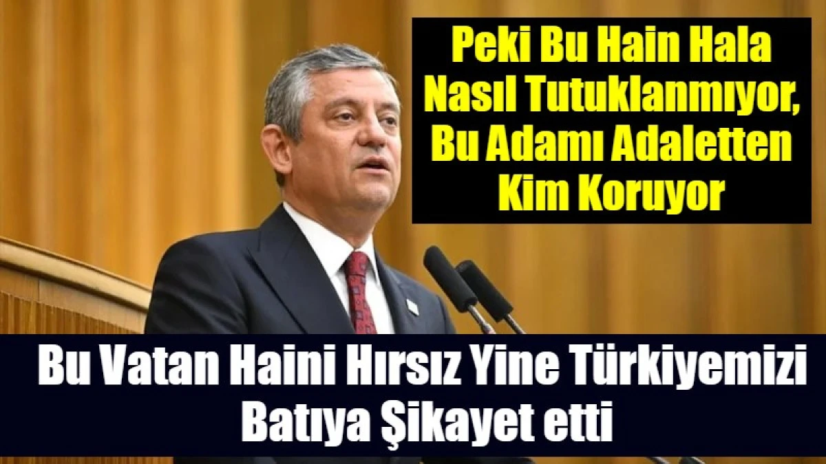 Bu Vatan Haini Hırsız Yine T&uuml;rkiyemizi  Batıya Şikayet etti