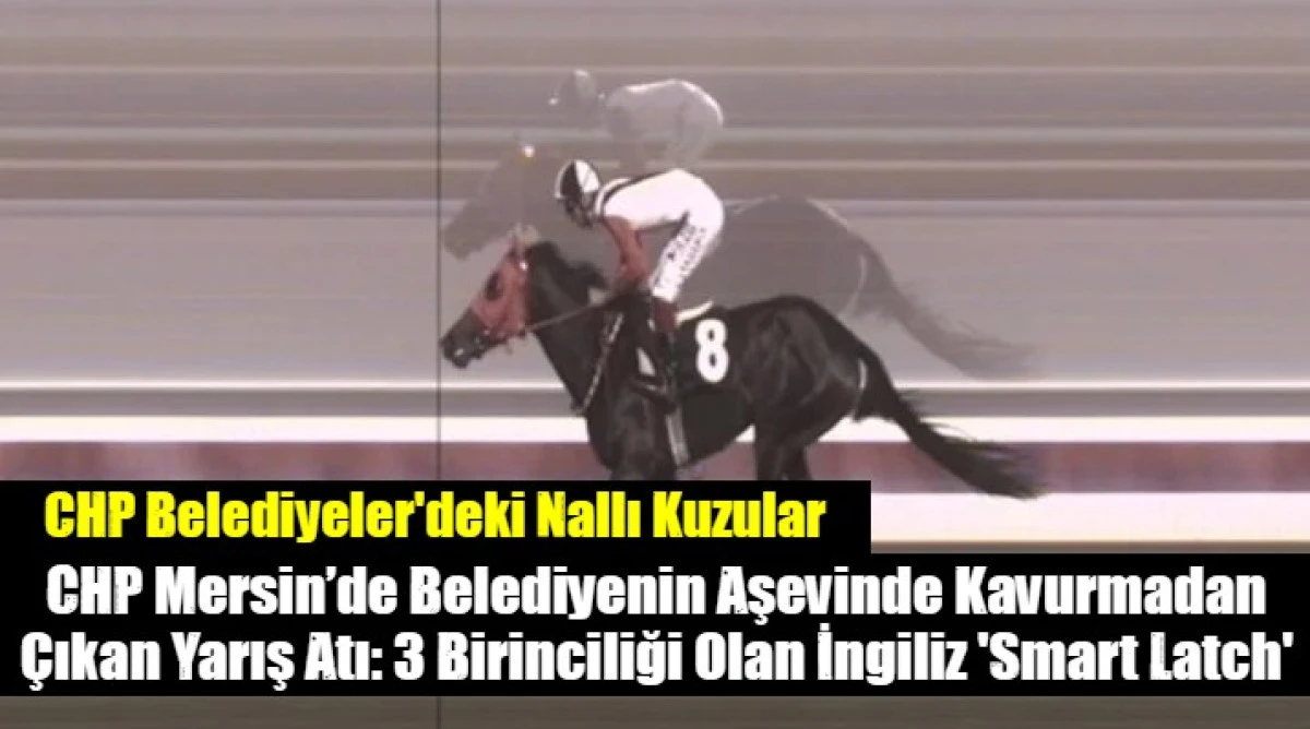 CHP Belediyeler Halka Nallı Kuzularmı Yediriyor