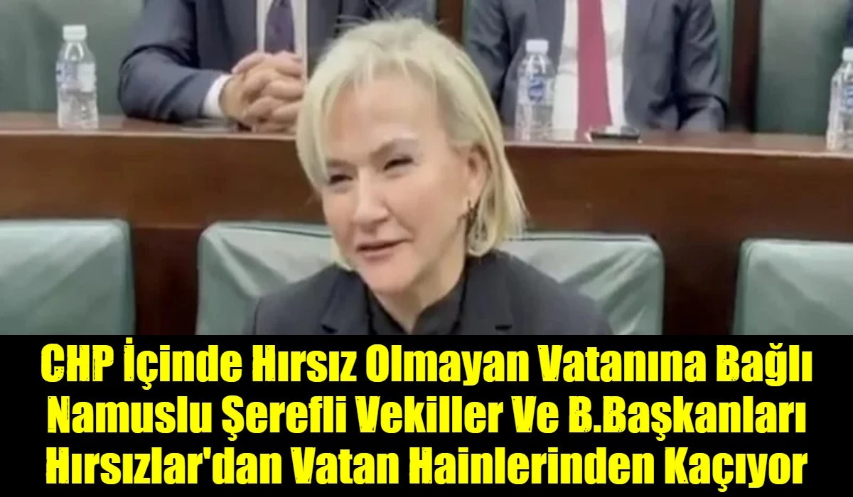 CHP'den istifa eden Nimet &Ouml;zdemir AK Parti'ye katıldı: Cumhurbaşkanı Erdoğan, rozetini taktı
