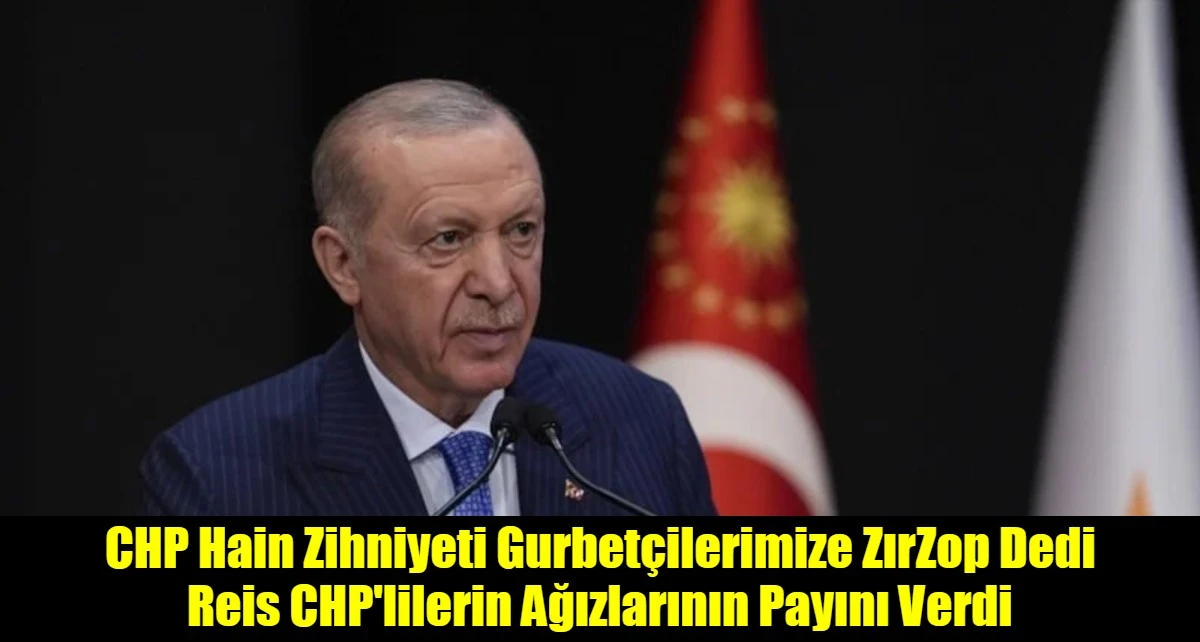 Cumhurbaşkanı Erdoğan: Yurt dışındaki vatandaşlarımızla ilgilenmemiz birilerine dert oluyor