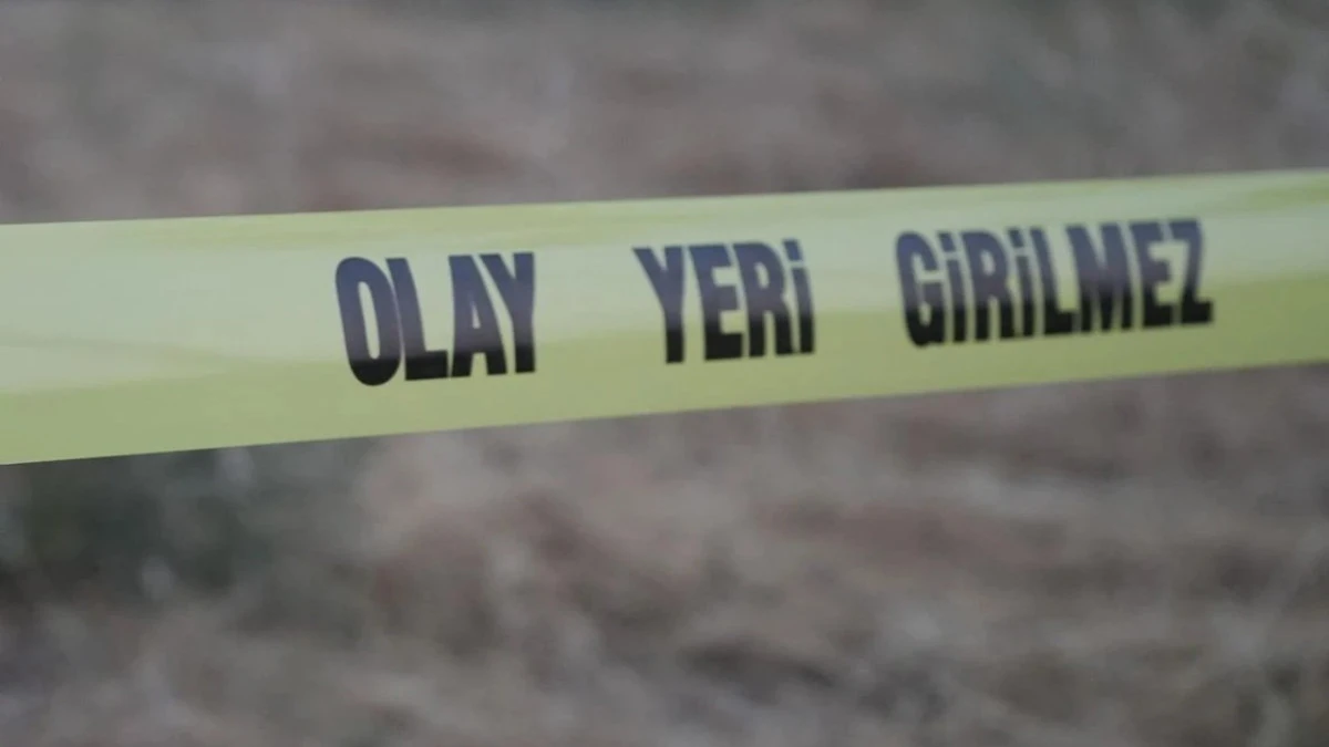 Damat D&uuml;nyaevi Yerine Cezaevine girdi