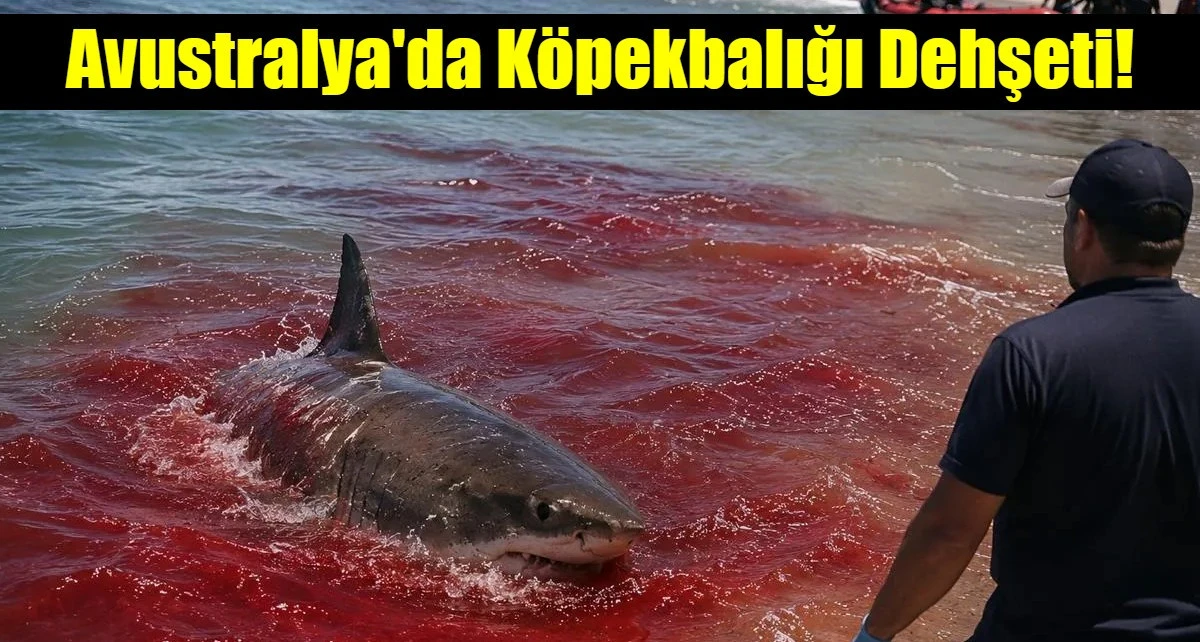 Deniz bir anda kanla kaplandı