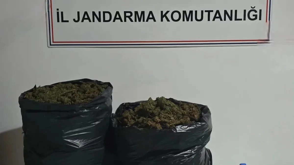 Deprem Çadırında Kovalar Dolusu Esrar Gömülü Olarak Bulundu