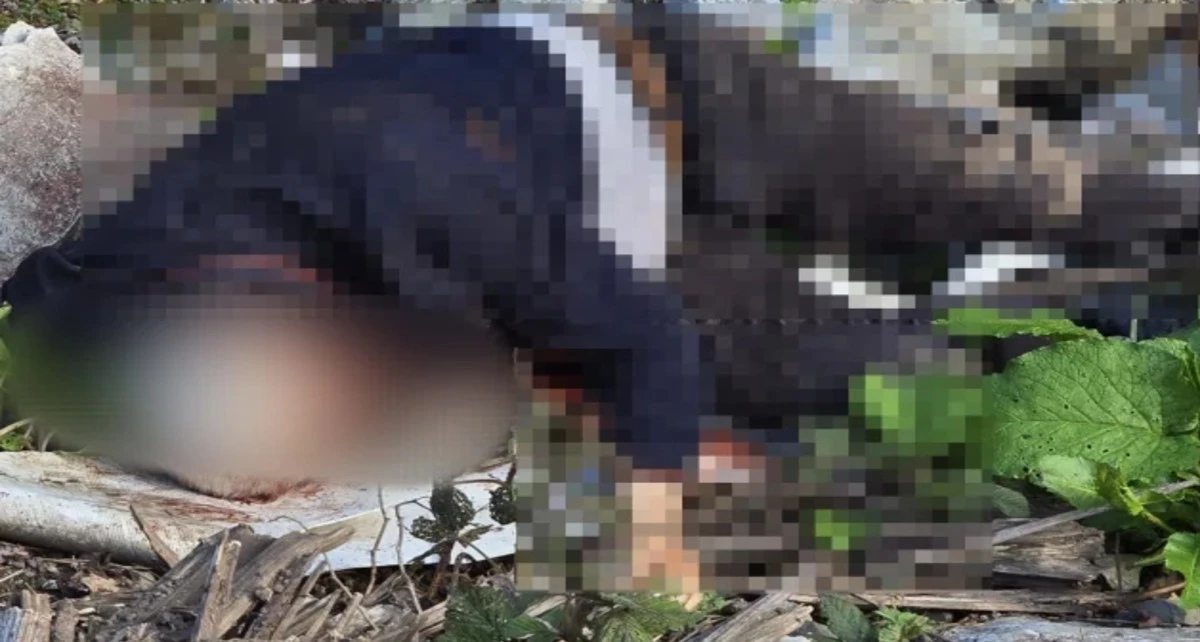 Dere Kenarında Bı&ccedil;aklanarak &Ouml;ld&uuml;r&uuml;lm&uuml;ş Erkek Cesedi Bulundu