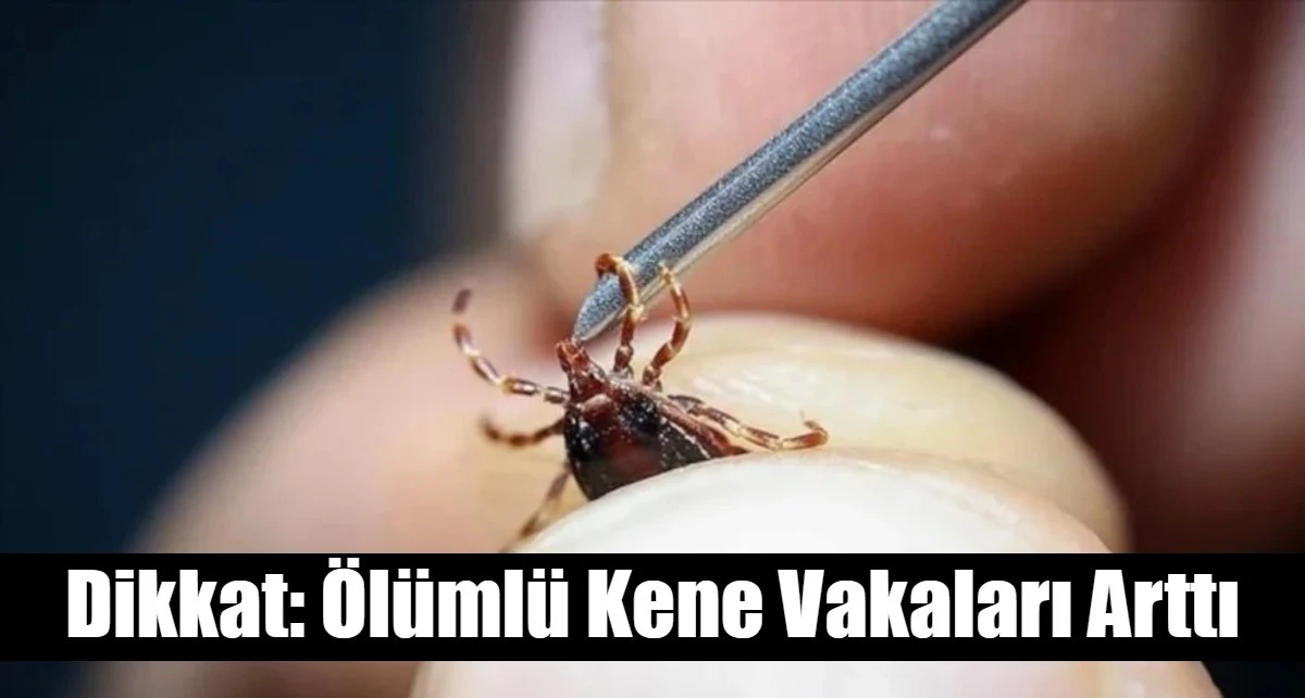 Dikkat: &Ouml;l&uuml;ml&uuml; Kene Vakaları Arttı