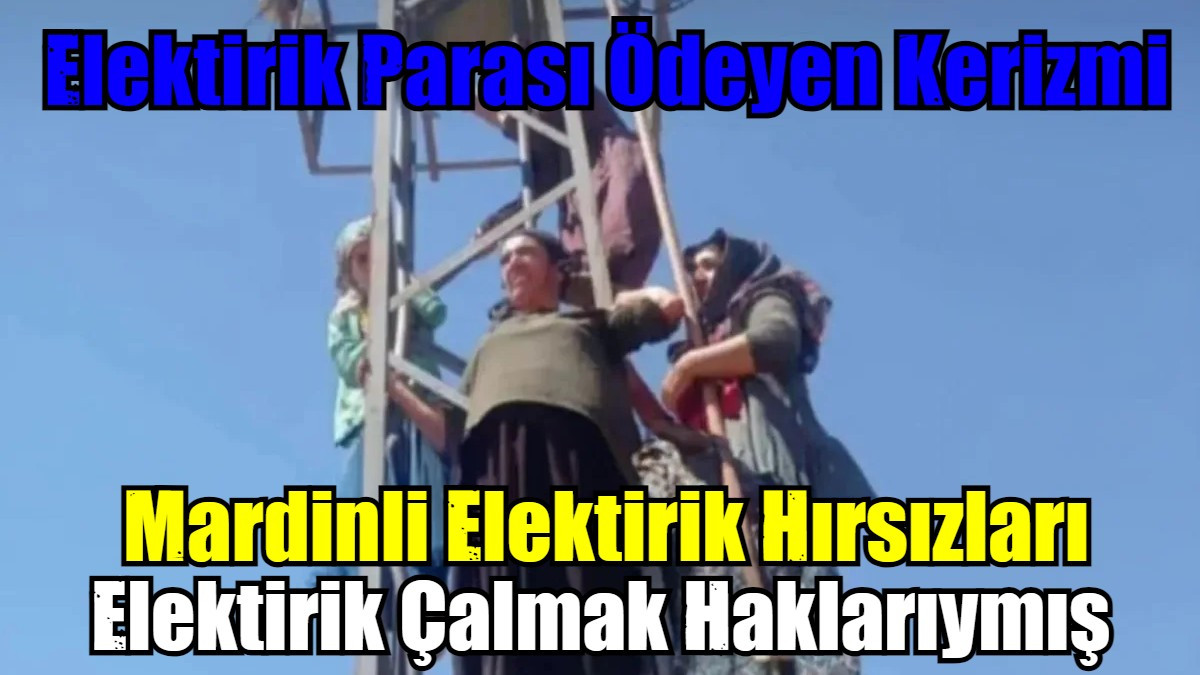 Elektirik Çalmak Haklarıymış