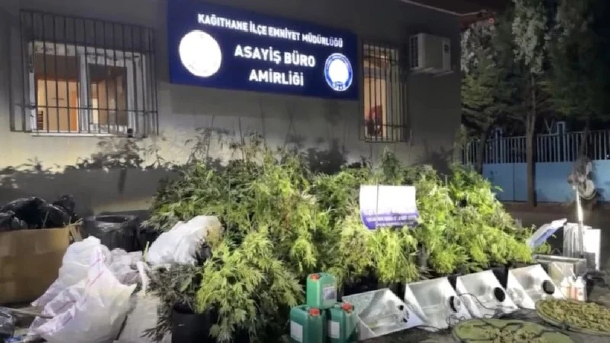 Esar Kokusu Apartmanı Kaplayınca Polis Bastı : 30 Milyonluk Esrar Yakalandı