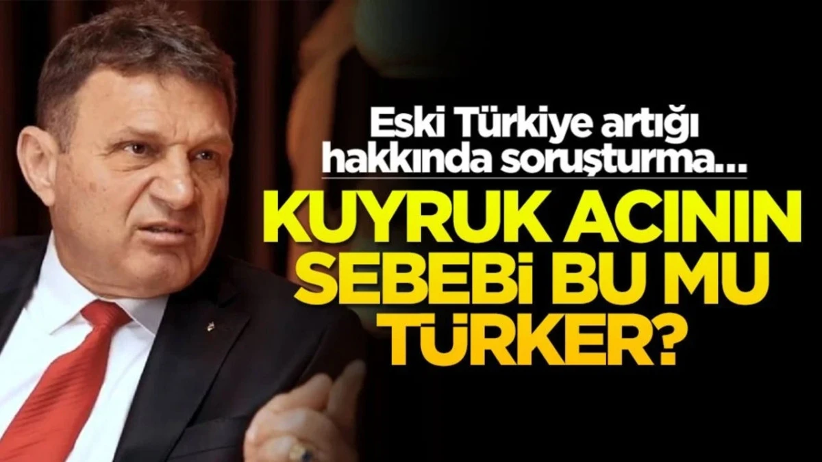 Eski T&uuml;rkiye Artığı Hakkında Soruşturma&hellip; 