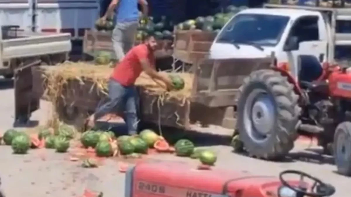 Fatirlere Dağıtmak Yerine Karpuzları Parçalayan Üreticileri Milyonluk Cezalar Yolda
