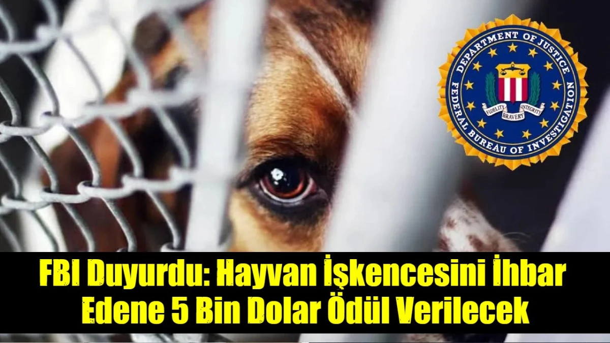 FBI Duyurdu: Hayvan İşkencesini İhbar  Edene 5 Bin Dolar &Ouml;d&uuml;l Verilecek