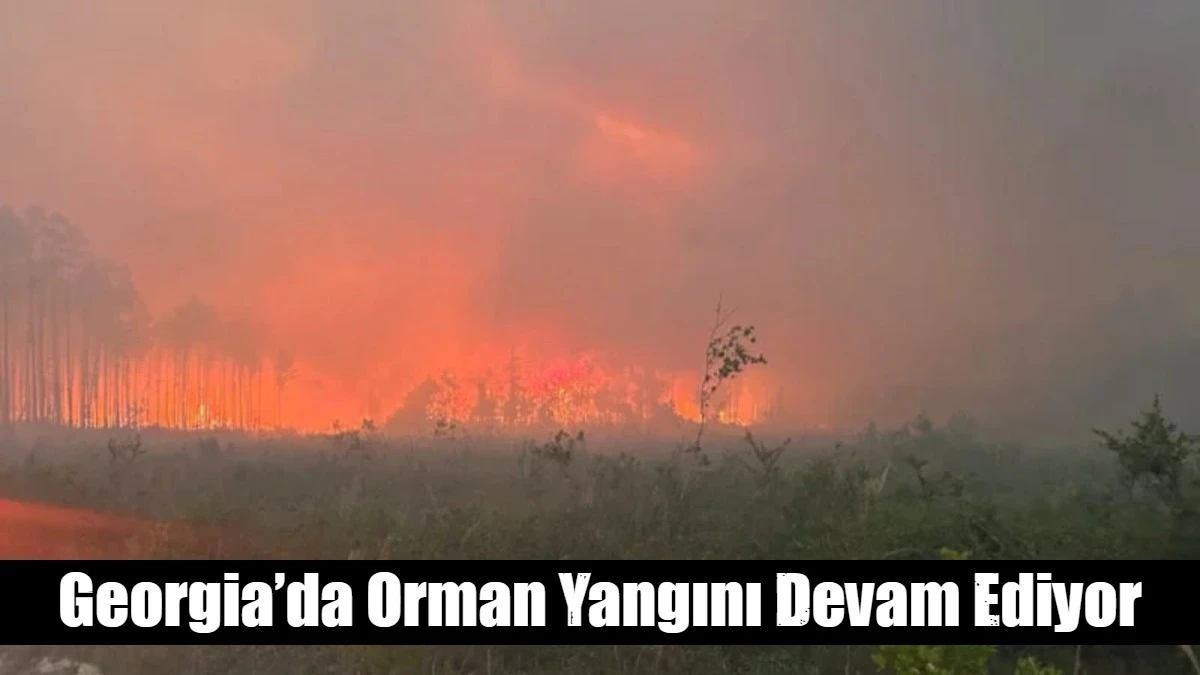 Georgia&rsquo;da Orman Yangını Devam Ediyor