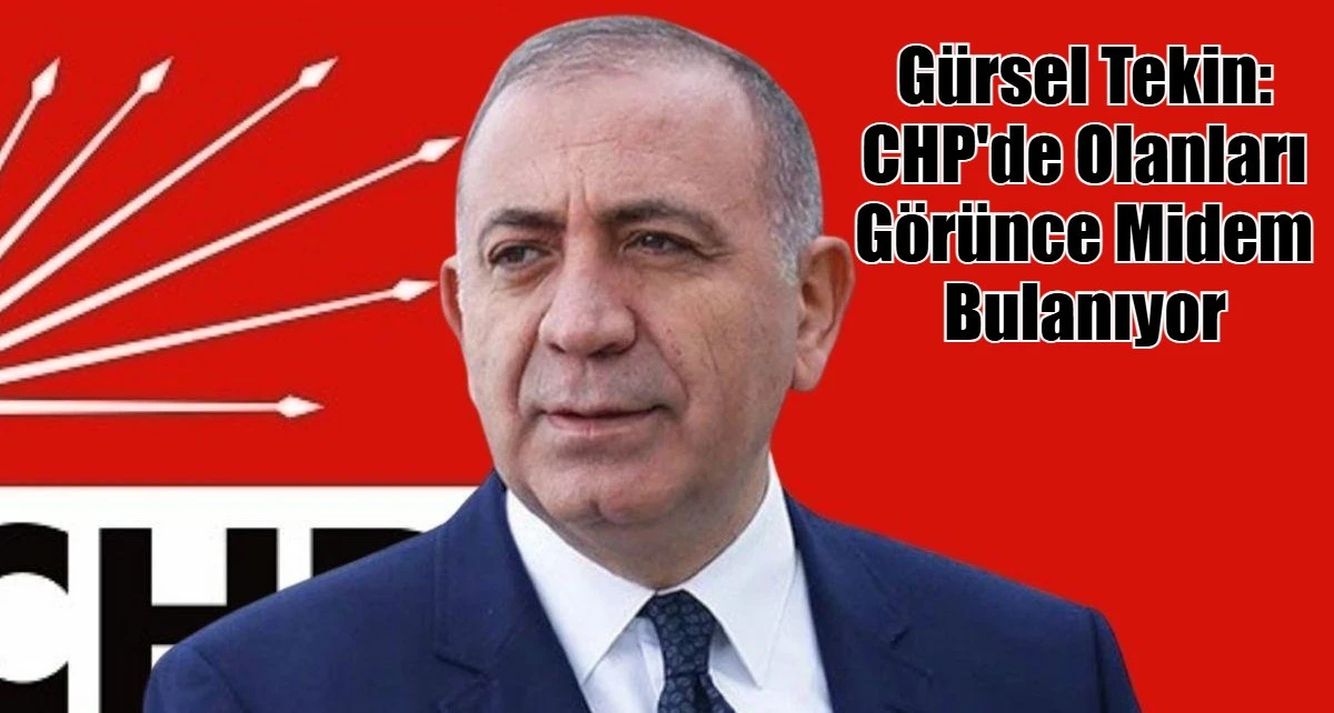 G&uuml;rsel Tekin: CHP'de Olanları G&ouml;r&uuml;nce Midem Bulanıyor
