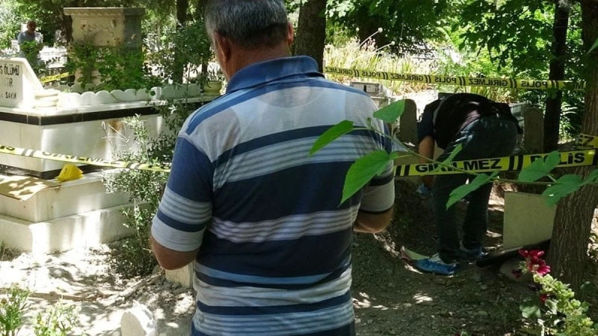 &lsquo;Her Nefis &Ouml;l&uuml;m&uuml; Tadacaktır&rsquo; Ayetin Karşısında, Kendini Ağaca Astı