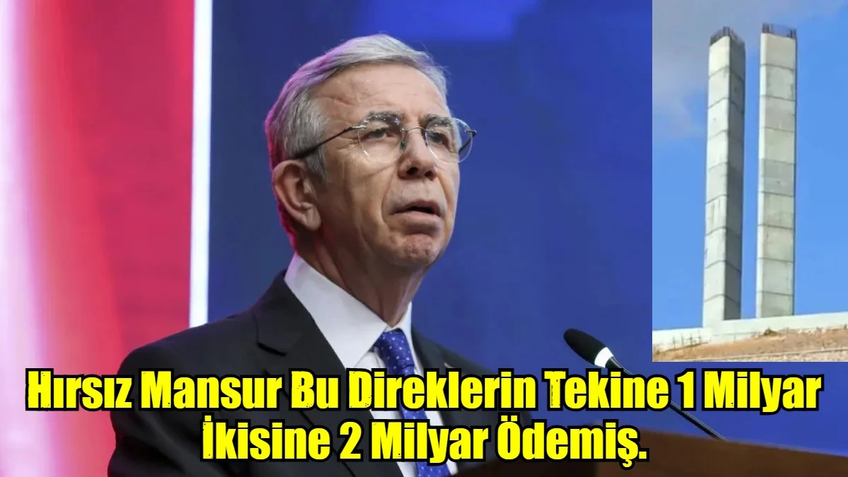 Hırsız Mansur Bu Direklerin Tekine 1 Milyar İkisine 2 Milyar Ödemiş.