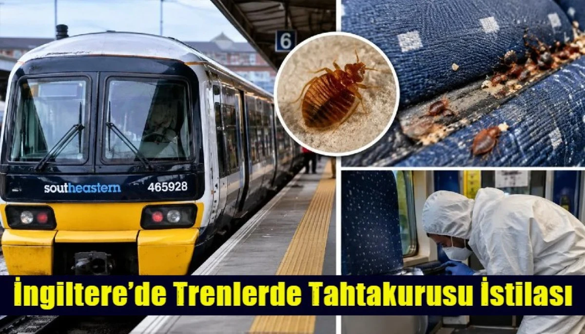 İngiltere&rsquo;de Trenlerde Tahtakurusu İstilası