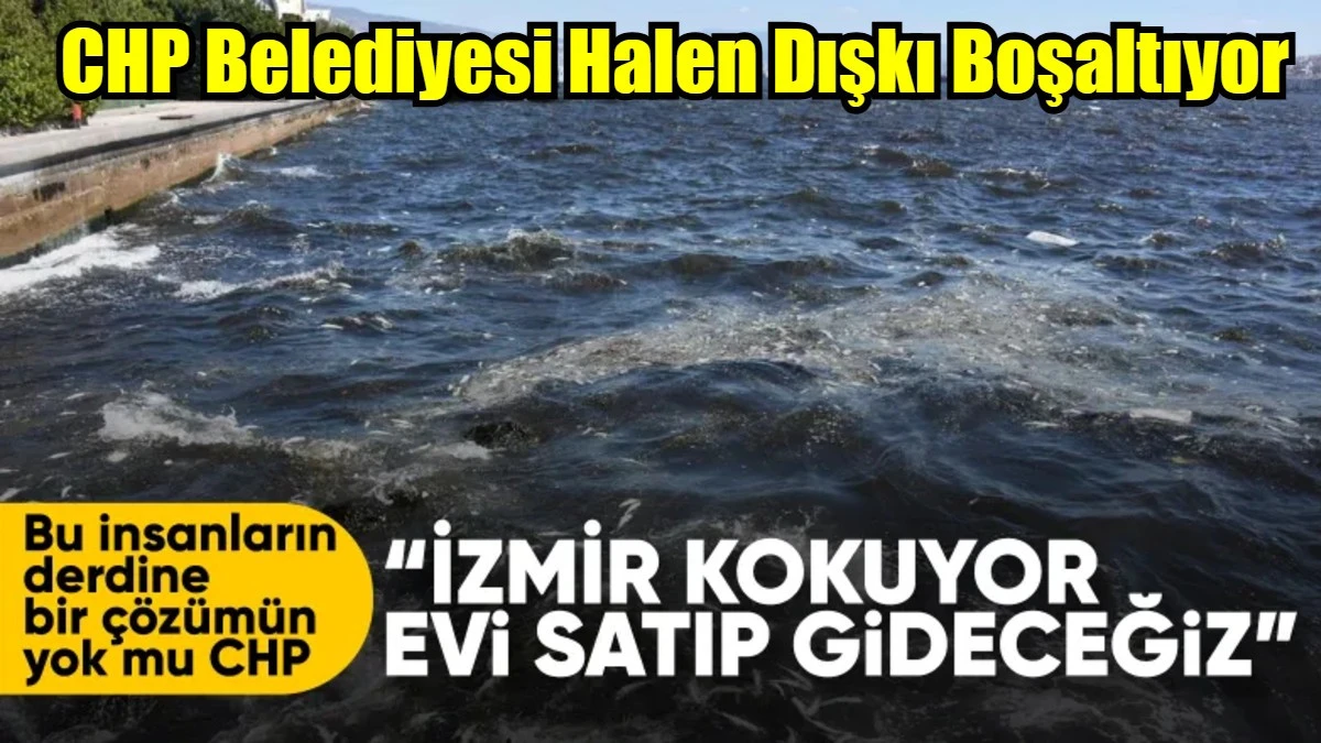 İzmir Körfezi'nde kötü koku sürüyor: Denizin rengi kahverengiye döndü
