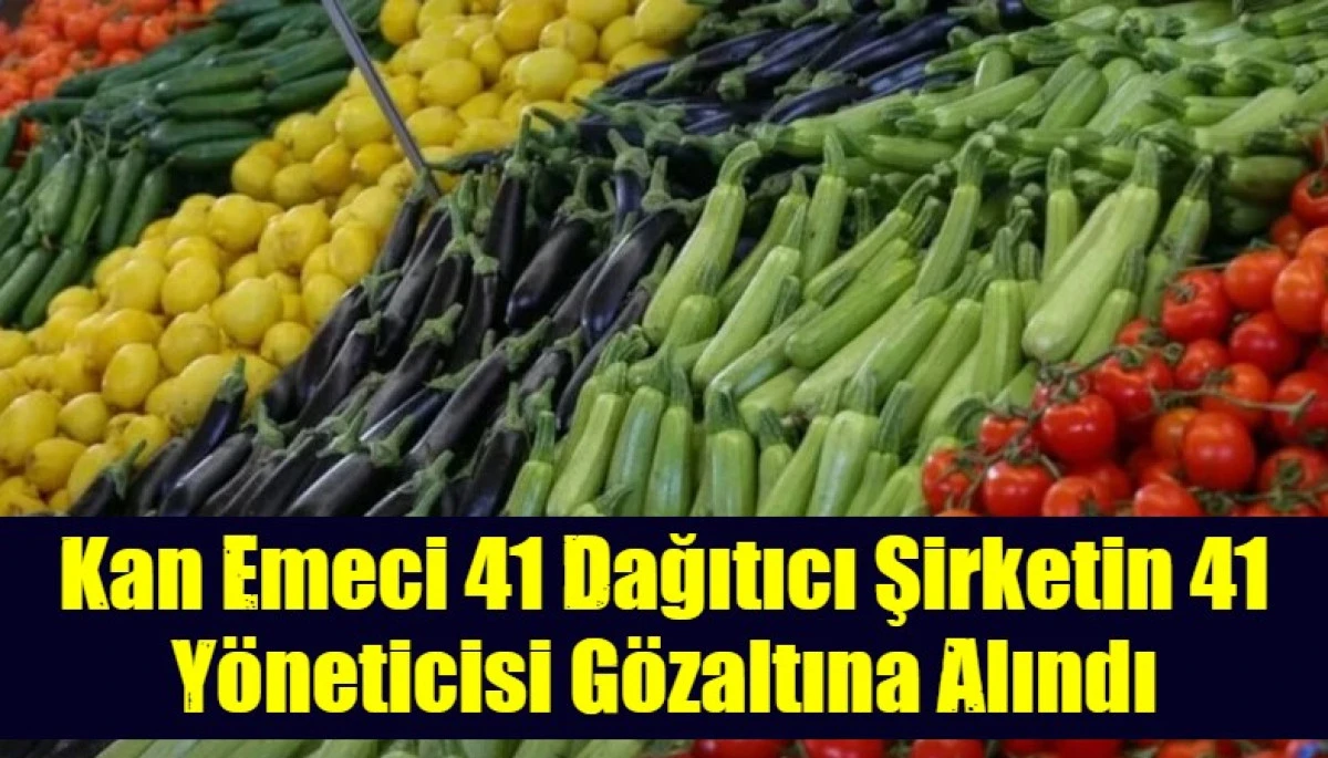  Kan Emeci 41 Dağıtıcı Şirketin 41 Y&ouml;neticisi G&ouml;zaltına Alındı