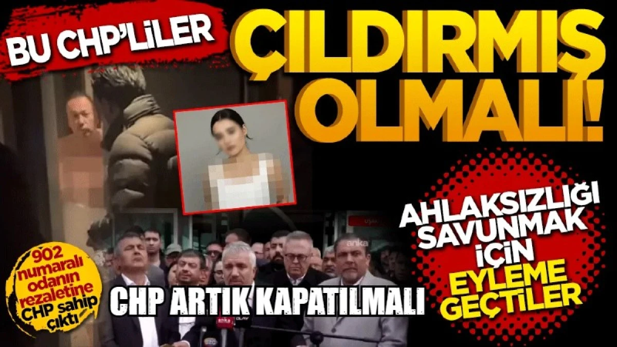 Kapatın Artık Şu Sapık, Hırsız, Vatan Haini CHP Denen Partiyi