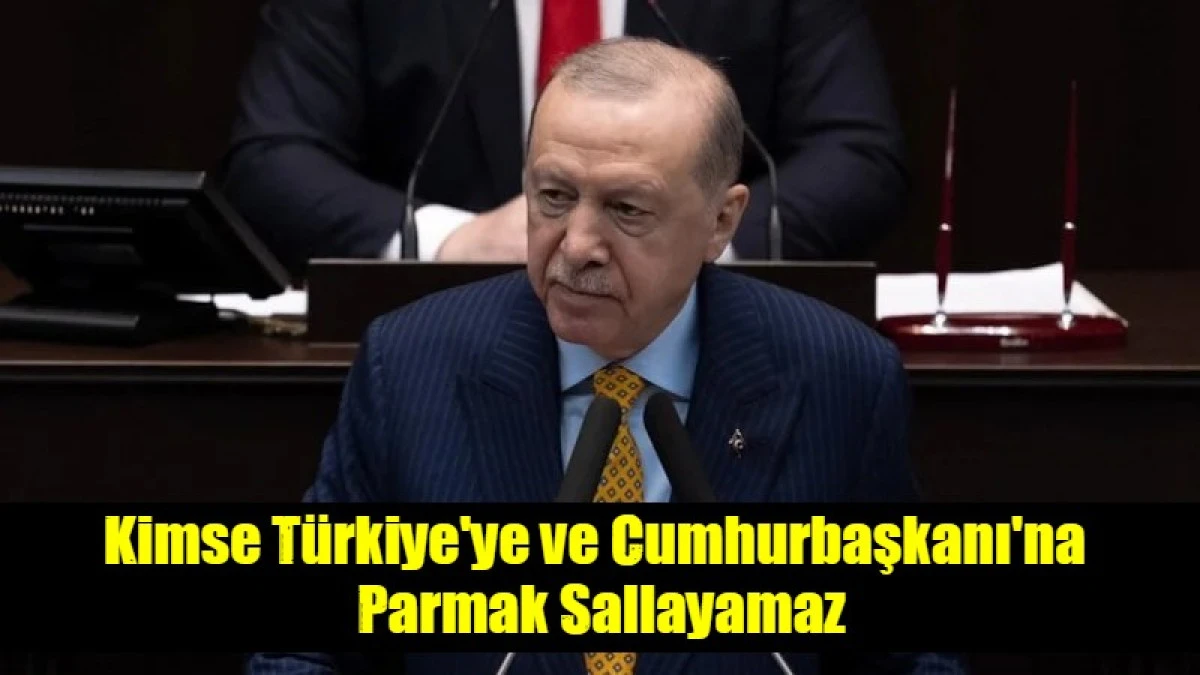 Kimse T&uuml;rkiye'ye ve Cumhurbaşkanı'na  Parmak Sallayamaz