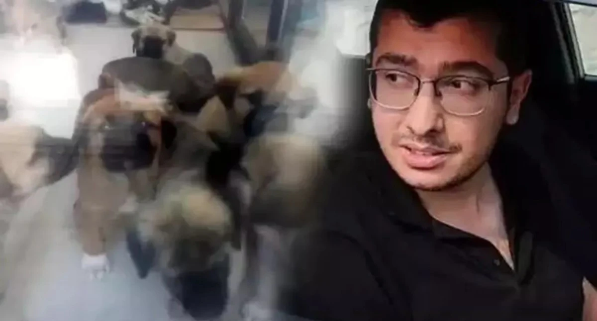 K&ouml;peklere Tecav&uuml;z Ederek &Ouml;ld&uuml;ren Doktor 9 Yıl 9 Ay Hapis Cezası Aldı