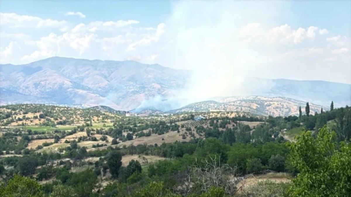 Malatya'da Orman Yangını Devam Ediyor 