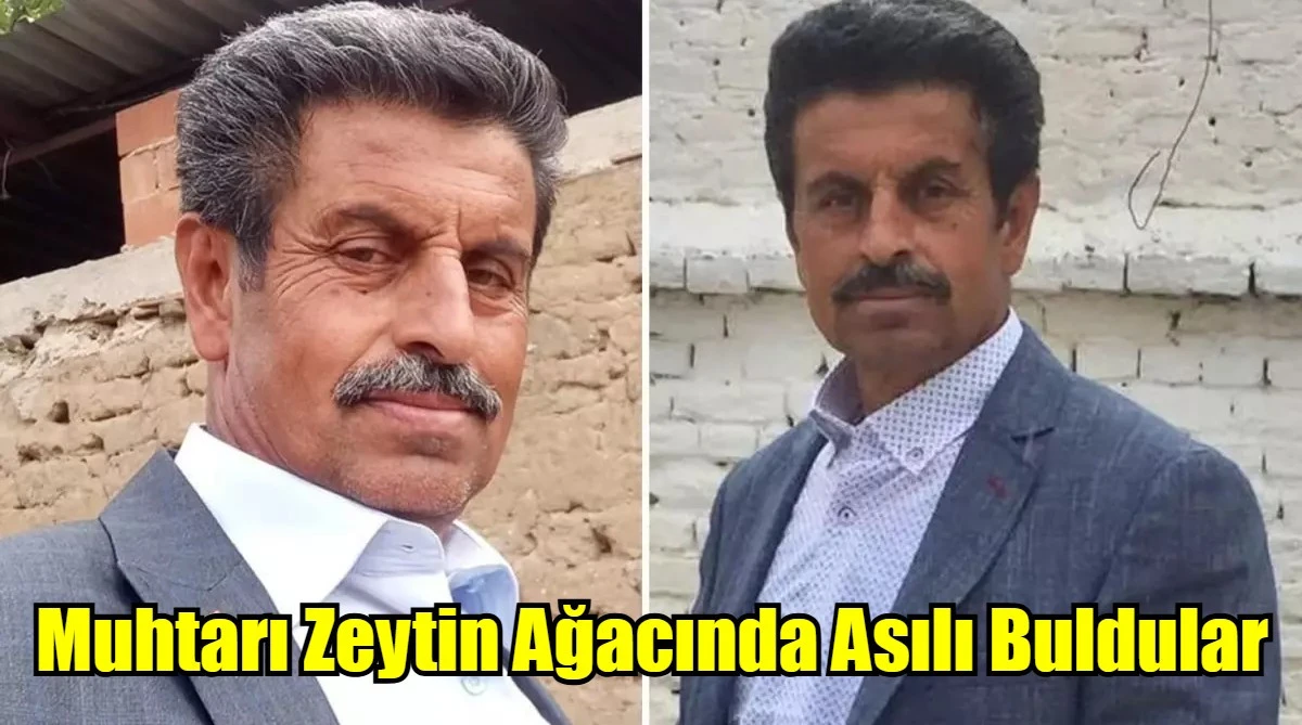 Muhtarı Zeytin Ağacında Asılı Buldular