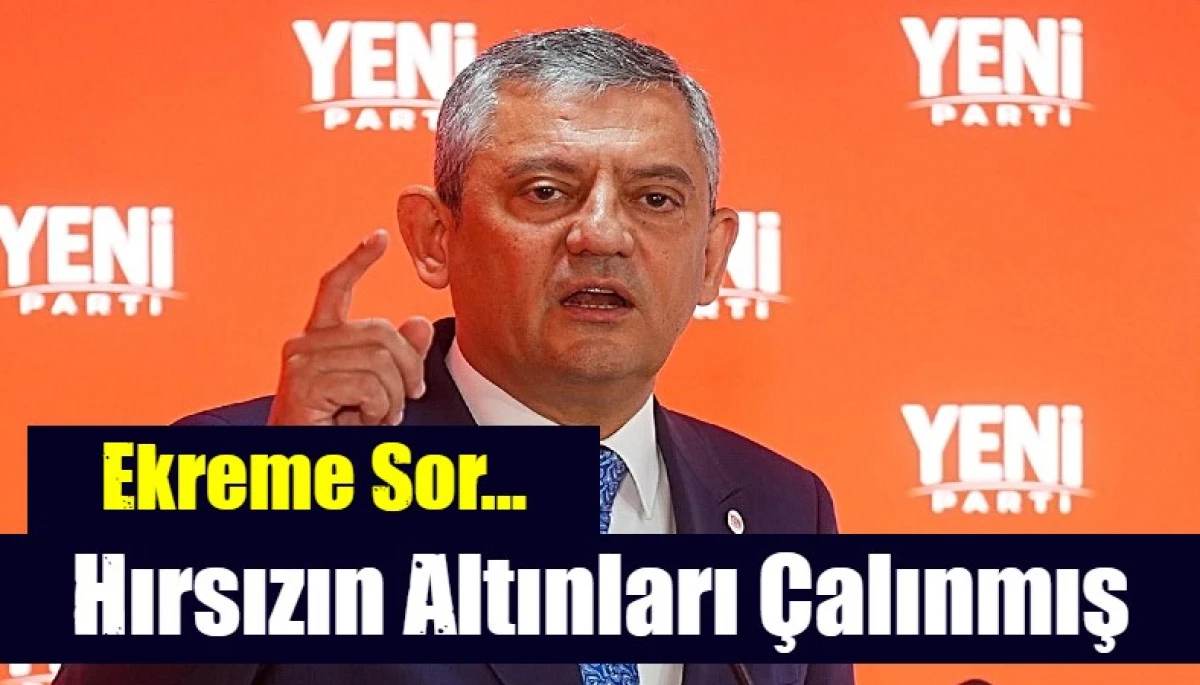 Ne Olur Ne Olmaz Sen Yinede Hırsız Ekreme Bir Sor