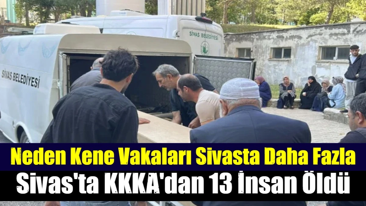 Neden Kene Vakaları Sivasta Daha Fazla
