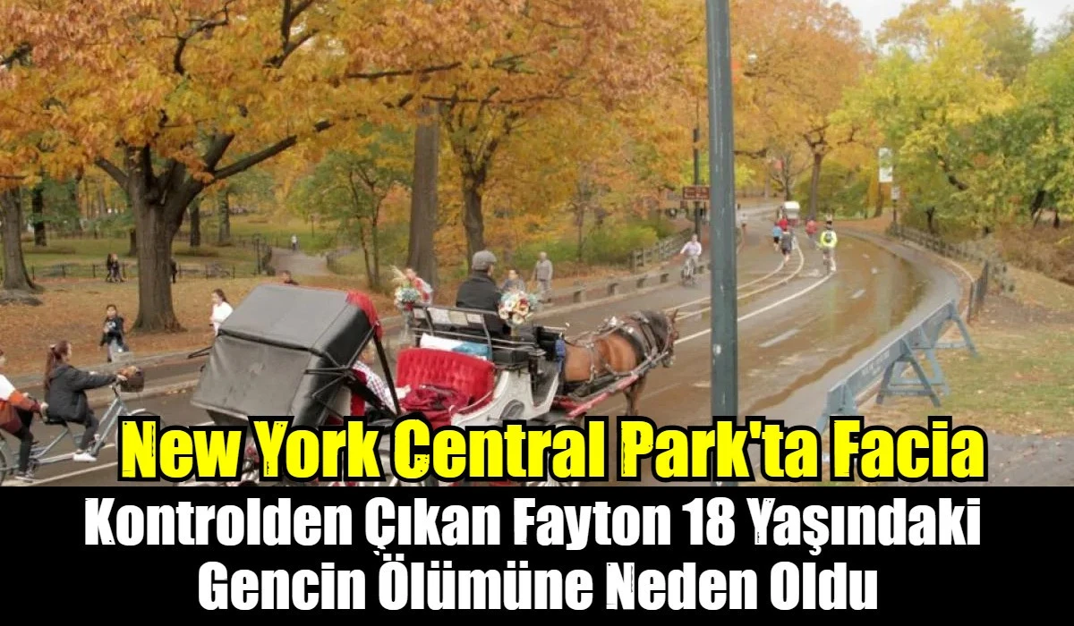 New York Central Park'ta Facia
