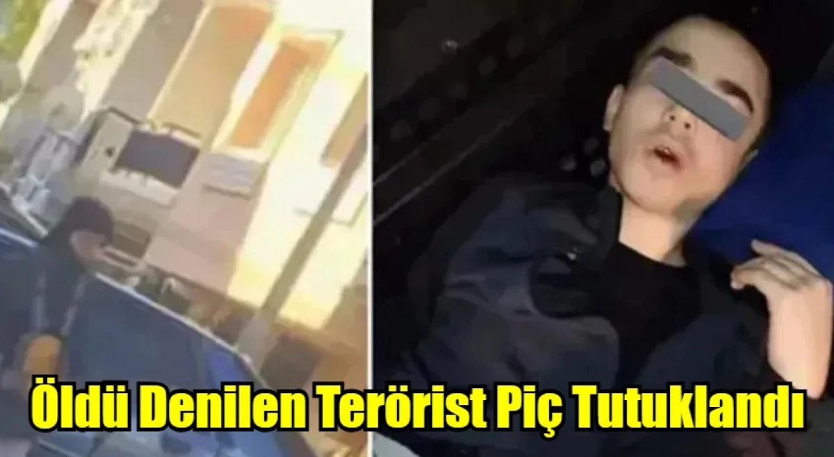 Öldü Denilen Terörist Piç Tutuklandı