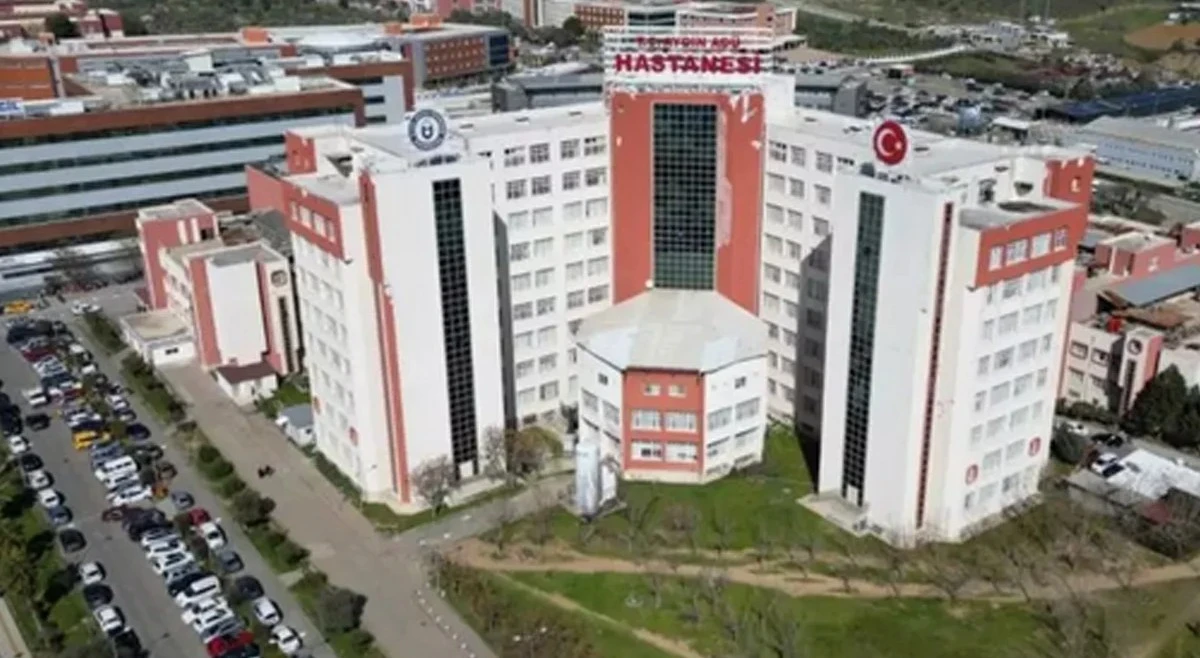 Olmaz Olsun Senin Gibi Profesör! 