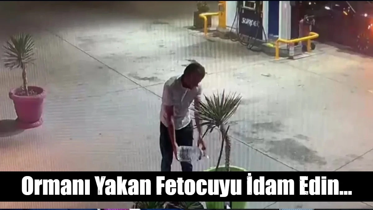 Ormanı Yakan Fetocuyu İdam Edin...