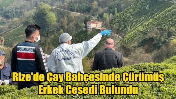 Rize'de Çay Bahçesinde Çürümüş Erkek Cesedi Bulundu