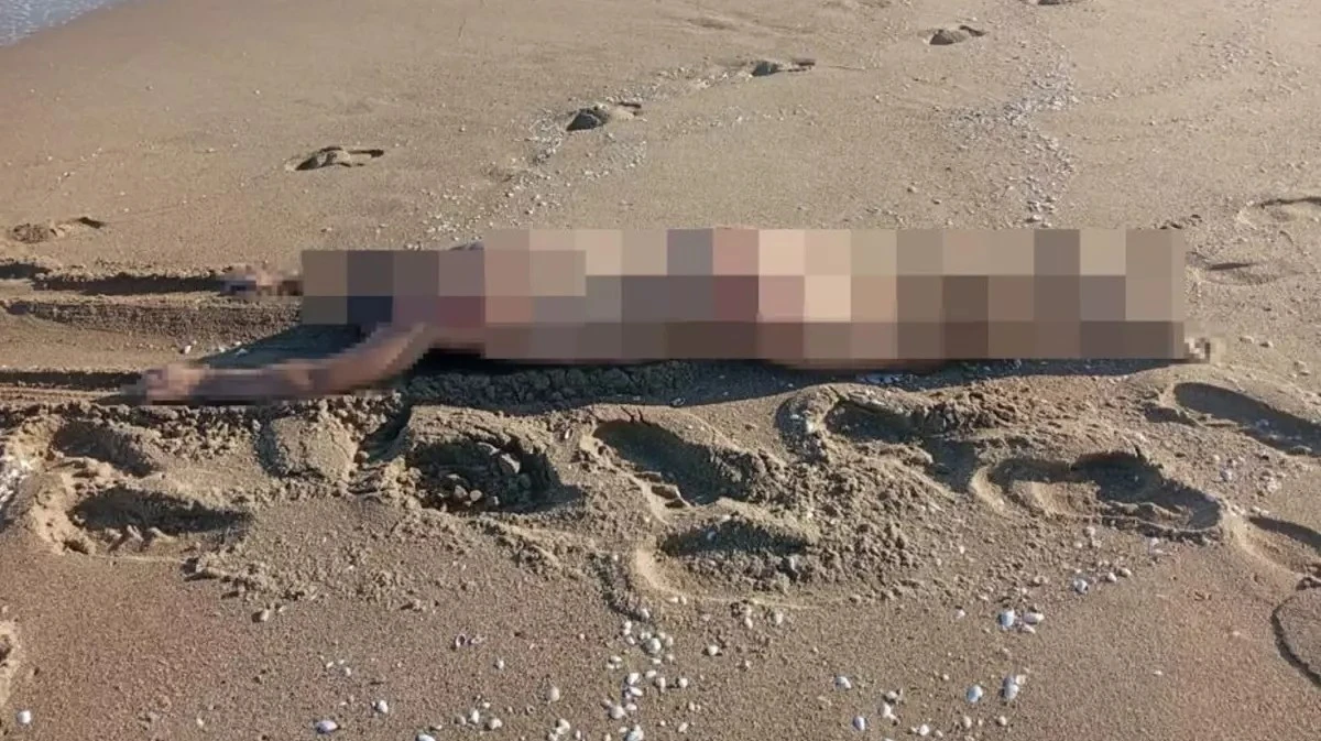 Sahilde Çıplak Erkek Cesedi Bulundu